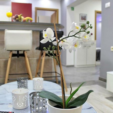 Apartment Marino マカルスカ エクステリア 写真